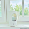 Glass Tank Kettle Design Steam Warm Mist Humidifier
