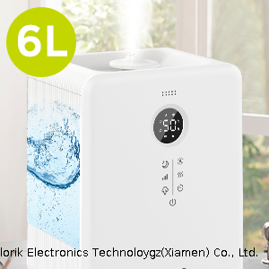 Warm & Cool Mist Ultrasonic Humidifier 